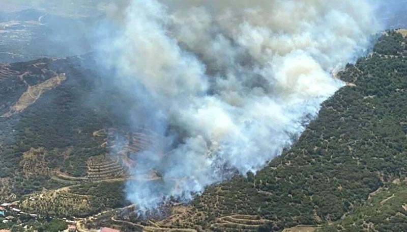 İzmir’de iki ayrı bölgede orman yangını İzmir’de iki ayrı bölgede orman yangını