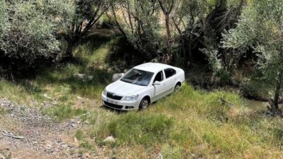 Seyir halindeyken arı soktu: 4 yaralı