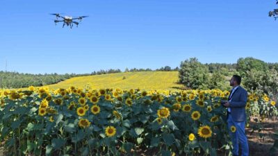 Kestel’de çayır tırtılı istilasına drone’lu önlem