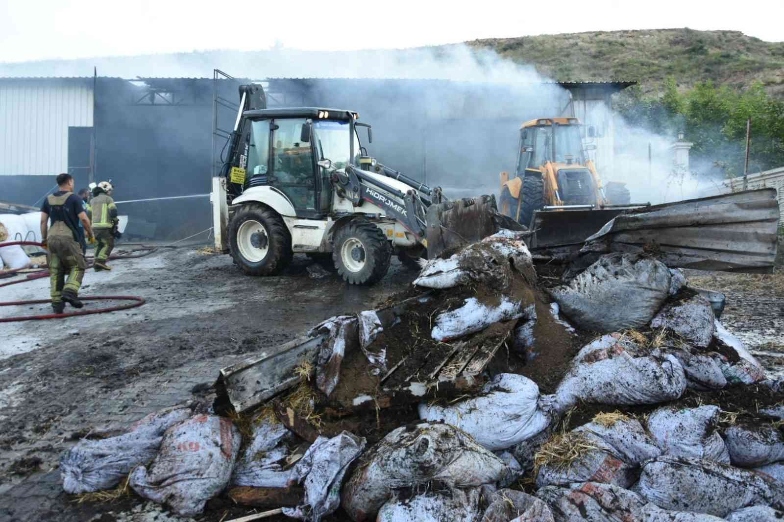 Bursa’da çiftlikte yangın Bursa’da çiftlikte yangın