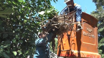 Bursa’da leyleğin yardımına UEDAŞ ekipleri yetişti