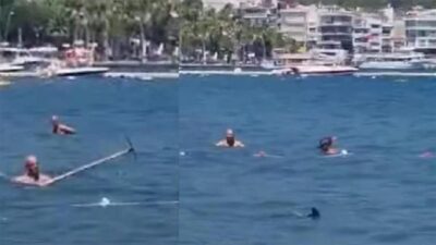 Köpekbalığını paspasla kovaladı