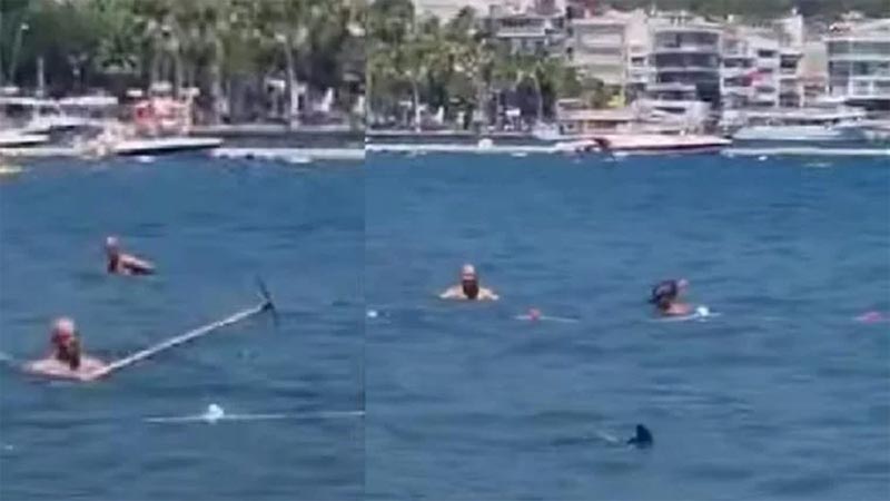 Köpekbalığını paspasla kovaladı