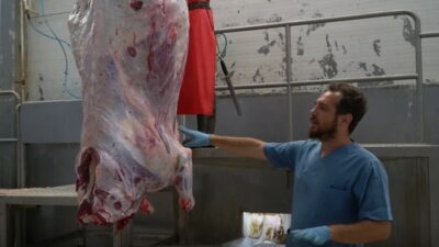 Mustafakemalpaşa’da uygulamalı kurban kesim kursu