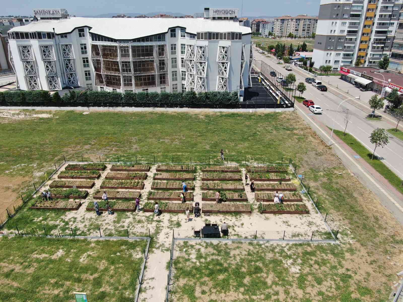 Bursa’da milyonluk evlerin arasında tarımla uğraşıyorlar