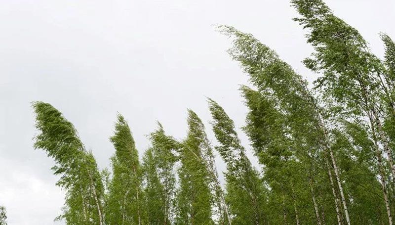 Meteoroloji’den kuvvetli rüzgar uyarısı