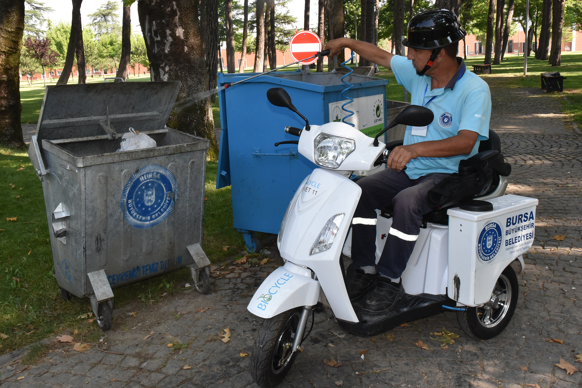 Bursa’da sinek istilası!