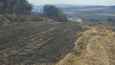 380 dönüm buğday tarlası kül oldu