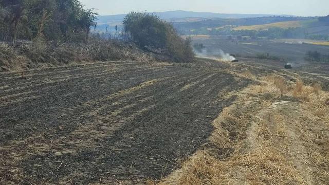 380 dönüm buğday tarlası kül oldu 380 dönüm buğday tarlası kül oldu