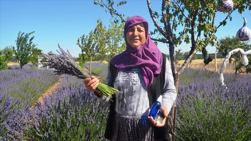 Kütahya'da ailesinden miras kalan bir dönümlük atıl kıraç arazide 7