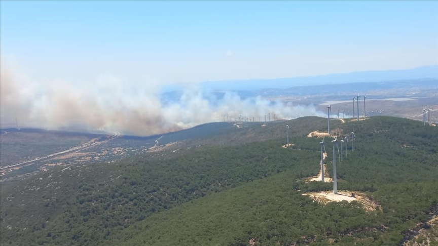 Çeşme’de makilik alanda yangın