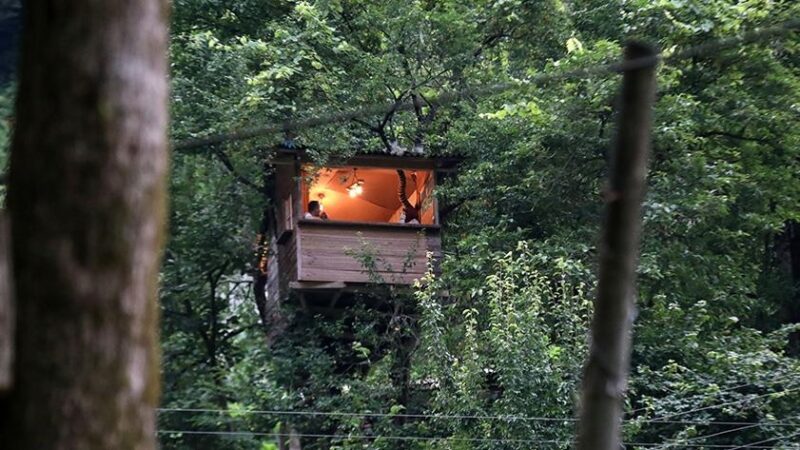 Rize'nin Güneysu ilçesinde 27 yaşındaki Mehmet Çetin, yerden yaklaşık 20