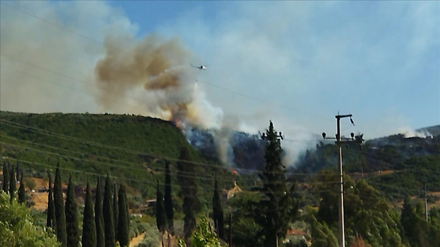 Aydın’da orman yangını
