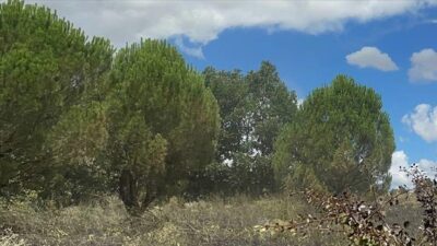 İçişleri’nden genelge! Girişler yasaklandı