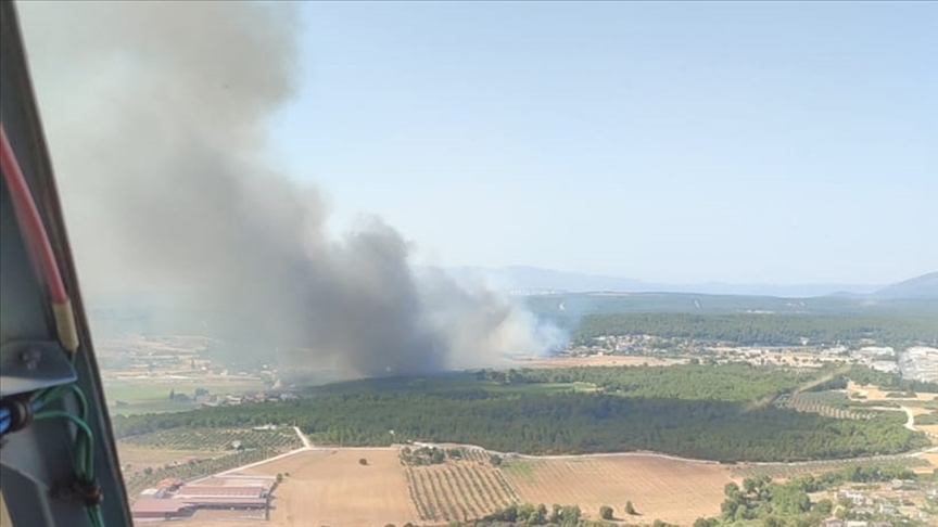 Bir orman yangını da İzmir’de!