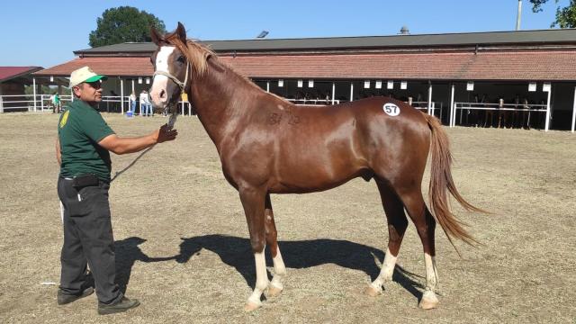 56 taydan 10 milyon liralık gelir