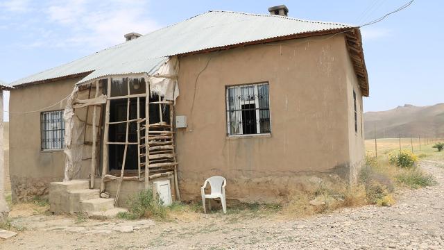 Evde yılan paniği! 5 yılda 100’ün üstünde yılan çıktı