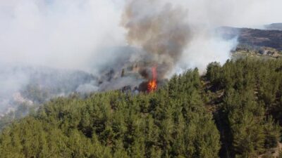 Manisa’daki orman yangınıyla ilgili 2 gözaltı