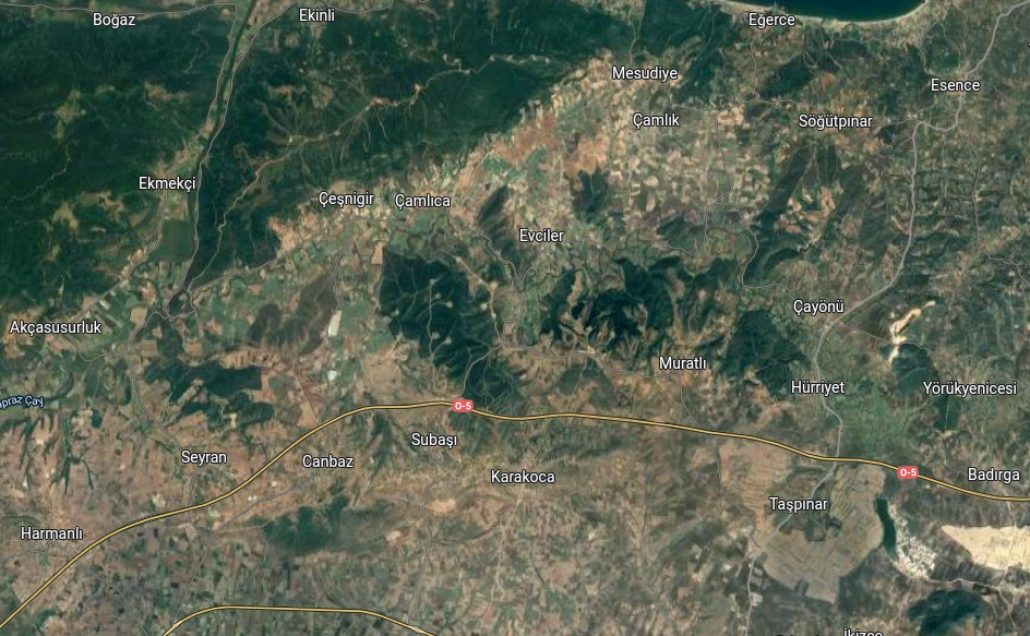 Bursa’da milyonluk vurgun! Koruma alanındaki araziler…