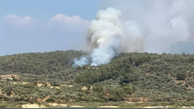 Bodrum’da ormanlık alanda yangın! Müdahale devam ediyor