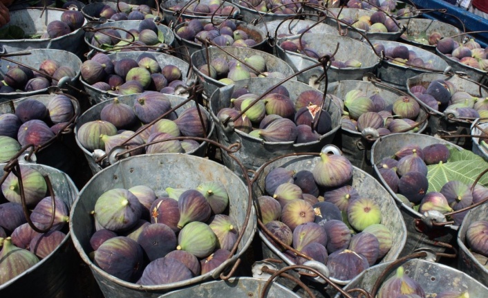 Bursa’da üreticiler şokta! Dalında 10, Avrupa’da 150 lira…