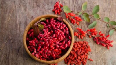 Dünyanın yeni gözdesi Bursa için umut oldu!