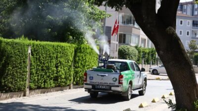 Bursa’da sinekle kesintisiz mücadele