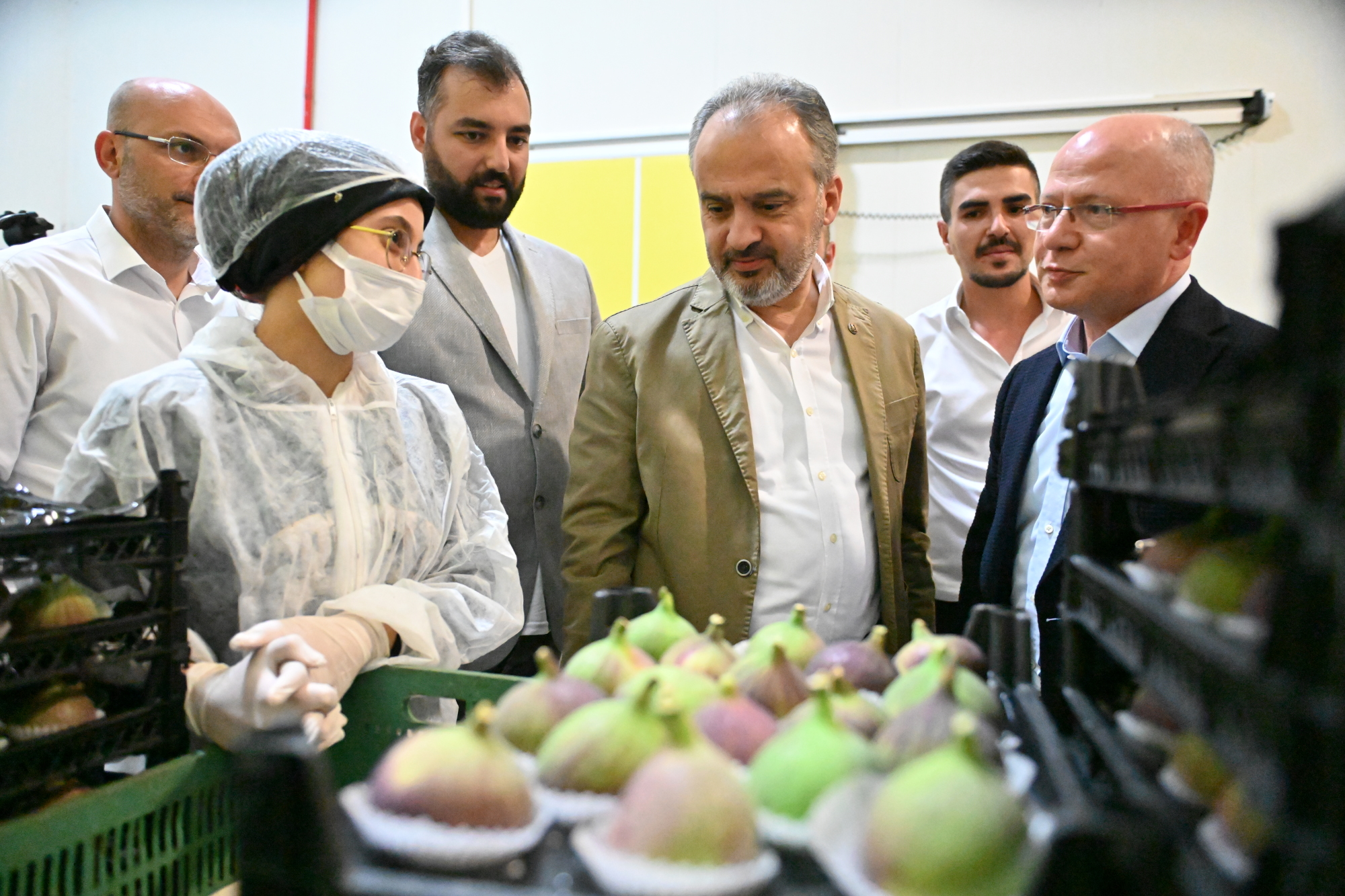 Bursa’da incir üreticisine ‘büyük’ destek