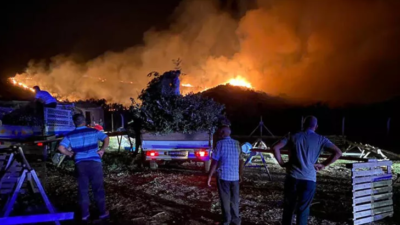 Söke’de orman yangını!