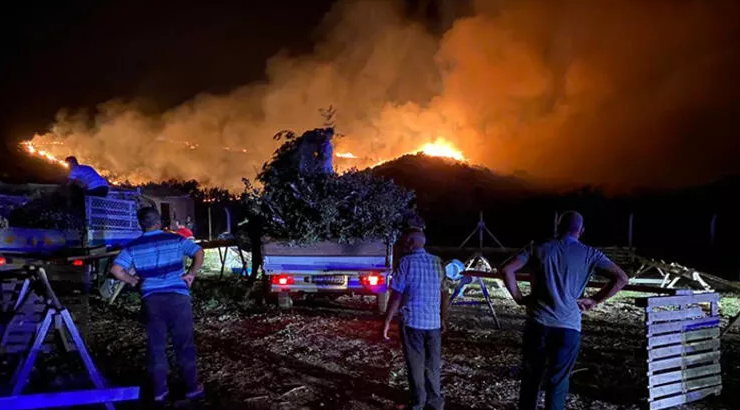Söke’de orman yangını! Söke’de orman yangını!
