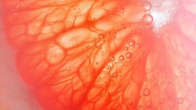 Karaciğeri hem koruyor, hem onarıyor…