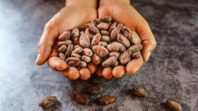 Günde 2 tanesi bile…