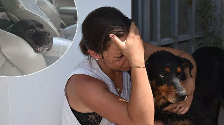 Ukraynalı çifti Edirne’de sarsan olay! Araca dönünce kahroldular