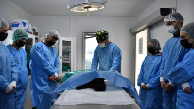 Osmangazi, binlerce hayvana şifa oldu