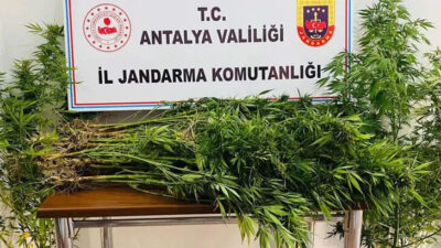 Karı-kocadan şoke eden plan! 18 yıl önce vefat eden adamın bahçesinden çıktı