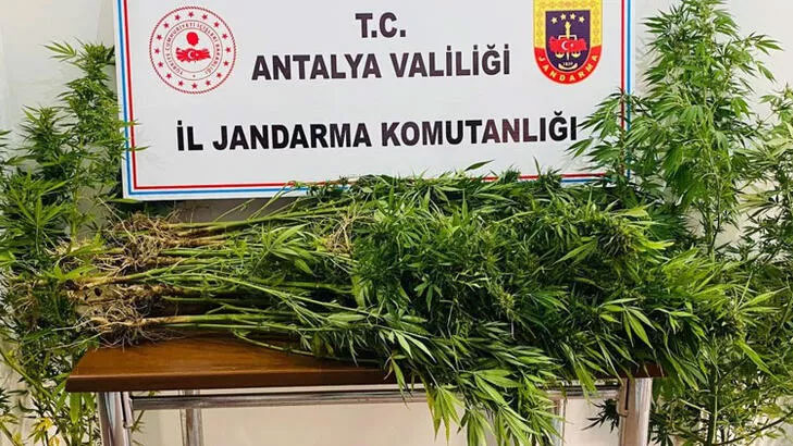 Karı-kocadan şoke eden plan! 18 yıl önce vefat eden adamın bahçesinden çıktı