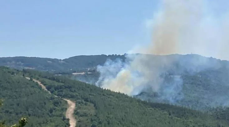 Biga’da orman yangını