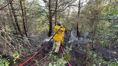 Uludağ’da orman yangını