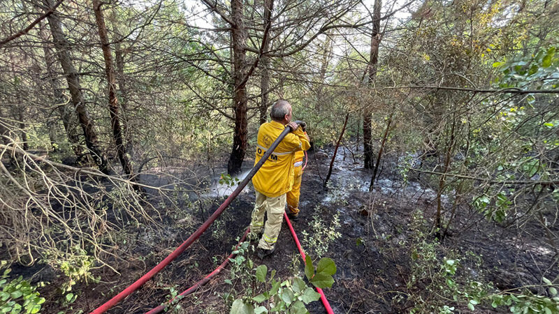 Uludağ’da orman yangını Bursa'da, Uludağ'da çıkan orman yangını kontrol altına alındı.