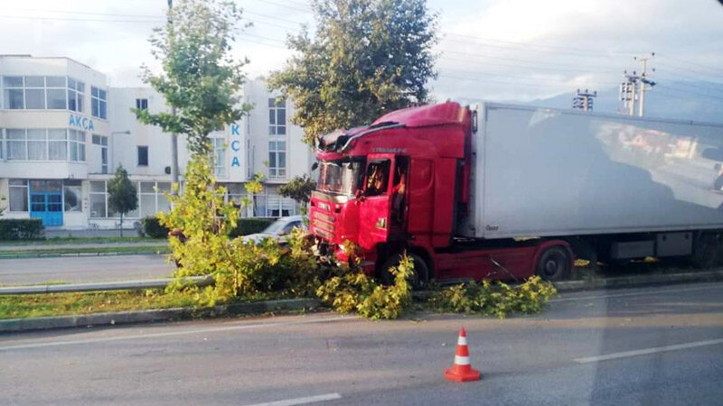 Bursa’da facia ucuz atlatıldı Bursa’da kontrolden çıkan TIR'ı, ana yolun ortasında bulunan ağaçlar durdurdu.