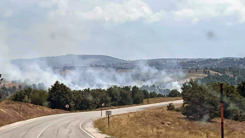 Bursa’da orman yangını! Kontrol altına alındı