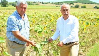 Bursa’da üretici bu krediyle nefes alacak!
