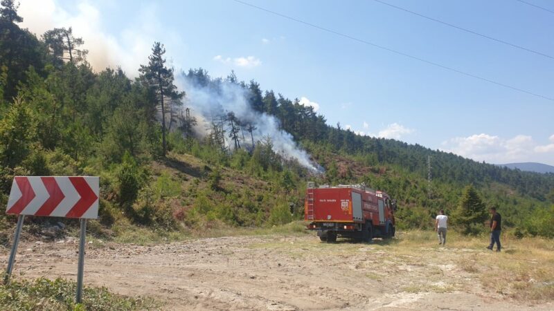 Bursa’da orman yangını Bursa'da Orhaneli-Büyükorhan yol ayrımındaki ormanlık alanda yangın çıktı.