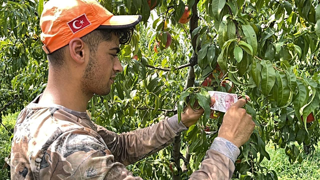 İnsanlık ölmemiş…Bursa’da kopardığı şeftali için bakın ne yaptı?
