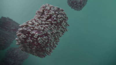 DSÖ duyurdu: İlk kez oluyor!