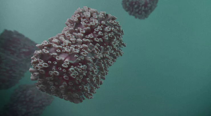 DSÖ duyurdu: İlk kez oluyor!