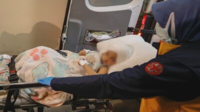 Pitbull saldırısına uğramıştı! Boynuna tasma takıp işkence yapmış!