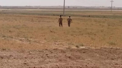 Şanlıurfa’da boş arazide parçalanmış ceset bulundu