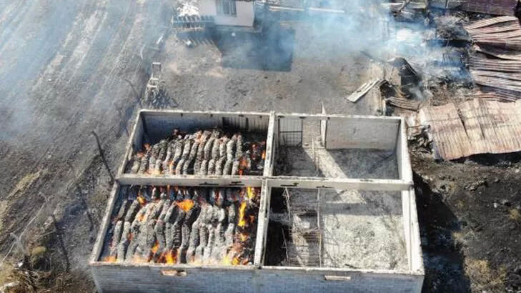 Can pazarı! Çiftlik yandı, hayvanlar telef oldu