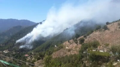 Kahramanmaraş’taki orman yangınında 31 hektar alan zarar gördü
